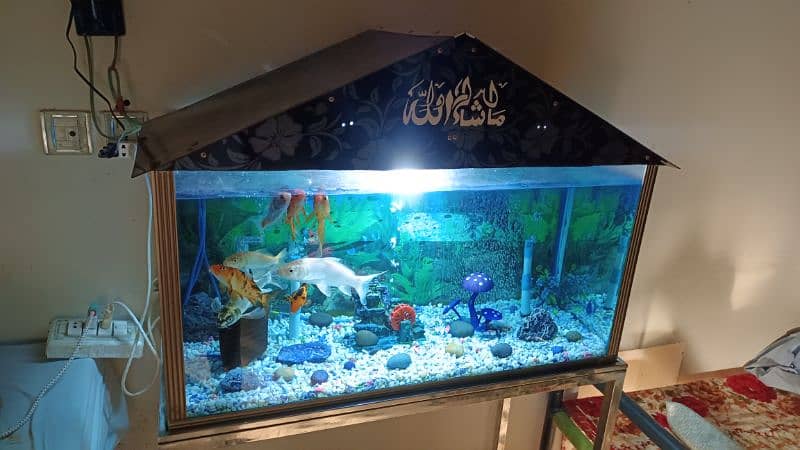 Fish Aquarium for sale urgent. 1