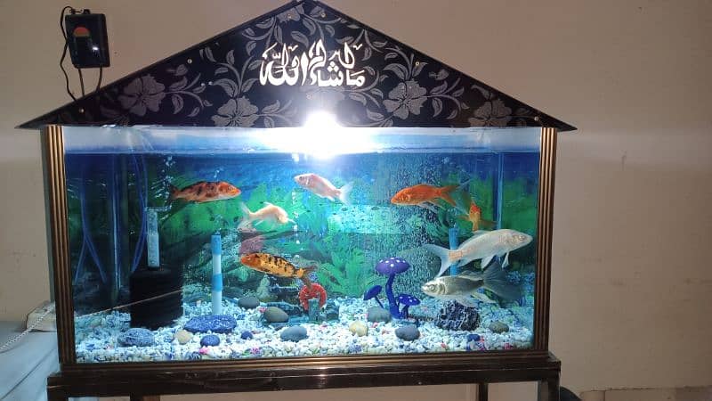 Fish Aquarium for sale urgent. 3