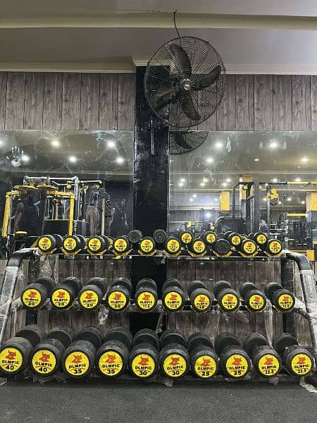 The Hulk Gym 11