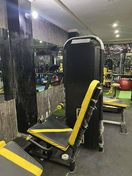The Hulk Gym 13
