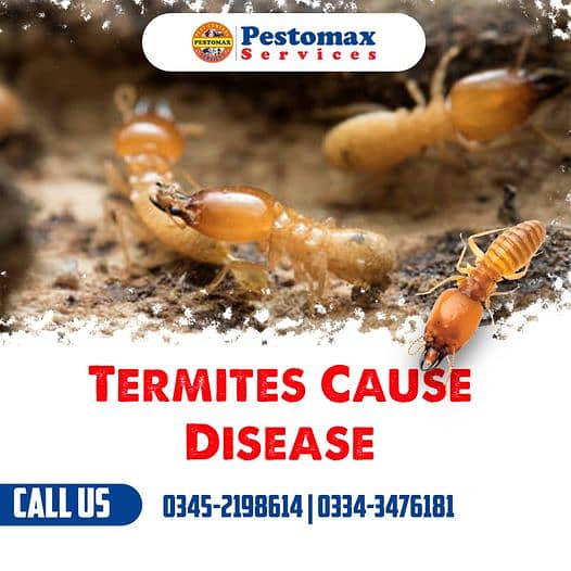 Pest Control Fumigation Termite Water Tank Cleaning 1