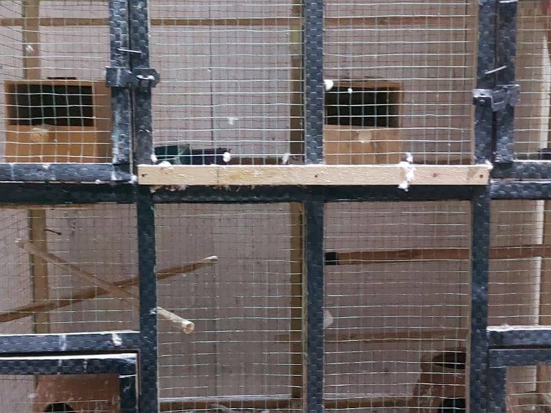 Cage for sale 4