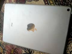 Ipad Mini 5 without box and charger