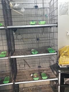 Master cage for sale