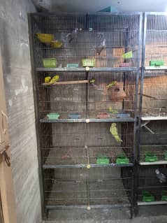 Birds cages
