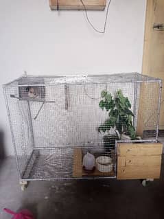 cage for birds, parrots, doves, finches