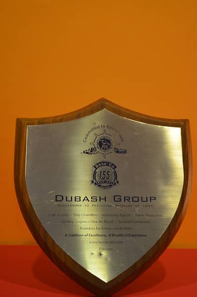 Shield award trophy medal plaque souvenir customized 19