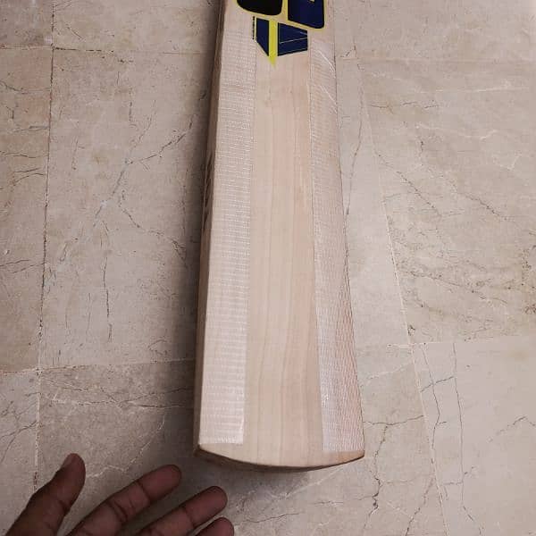 cricket bat 4