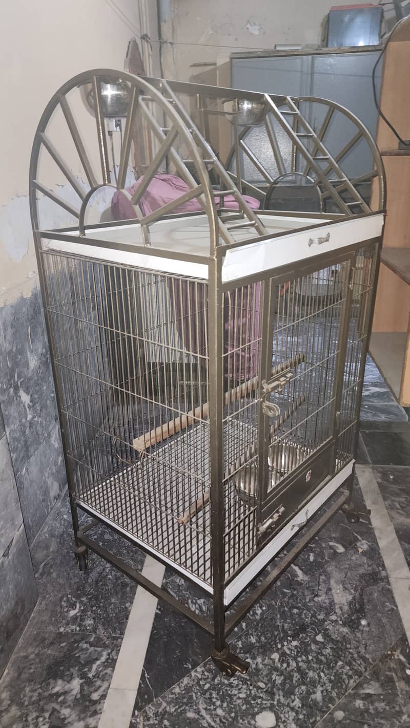 Grey parrot CAGE 1