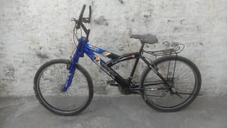 Stylish Bicycle