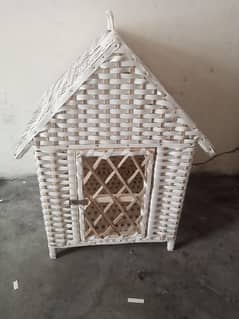 Cat and Dog House
