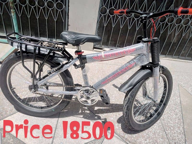 Brand New Phoenix Bicycle 20/22" (wholesale) 0