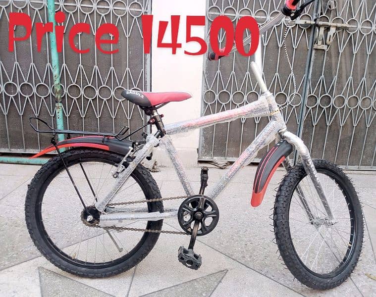 Brand New Phoenix Bicycle 20/22" (wholesale) 10