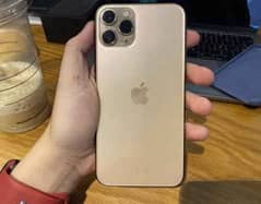 iPhone 11 Pro Waterpack
