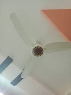 fan is in very good condition