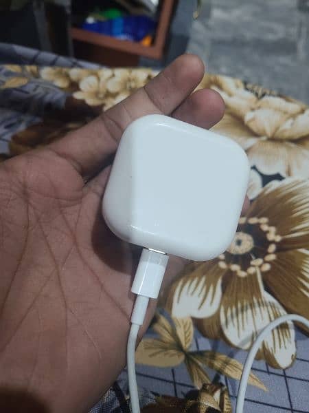 Apple 25 watt charger with cable 1