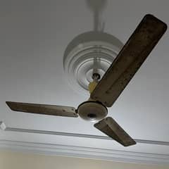 Used ceiling fans for sale