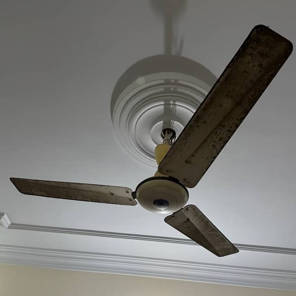Used ceiling fans for sale 0