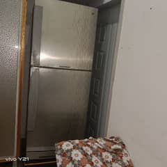 Pell refrigerator in full size 0