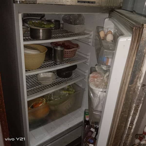 Pell refrigerator in full size 2