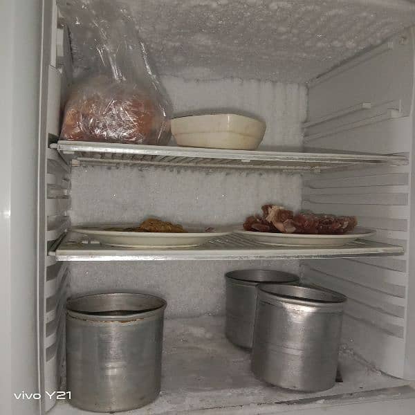 Pell refrigerator in full size 3