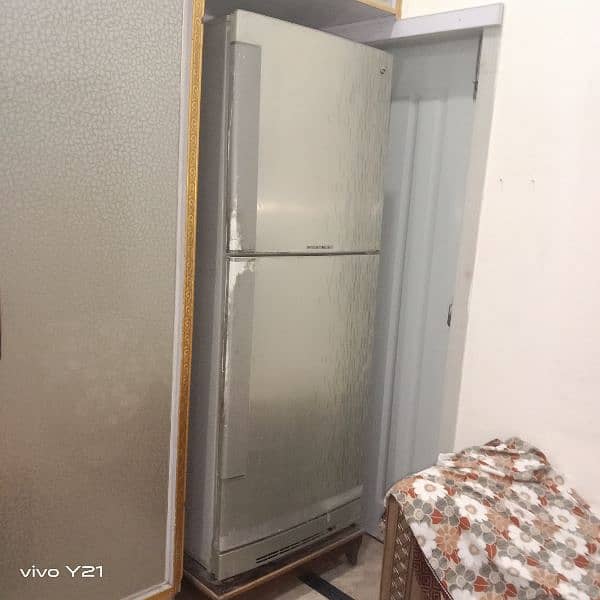 Pell refrigerator in full size 4
