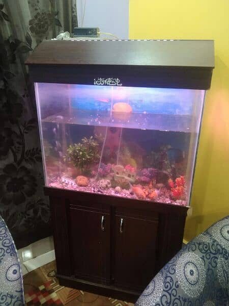 FISH AQUARIUM COMPLETE SETUP WITH ALL ACCESSORIES AND 5 FISHES 0