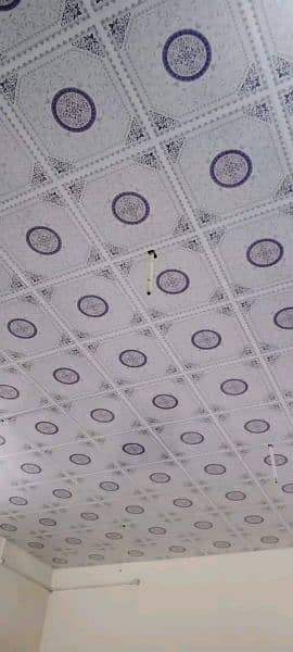 Pvc Ceiling 5