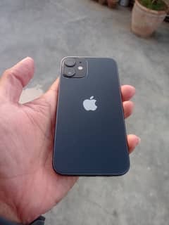 iPhone 12 Mini FU NON PTA