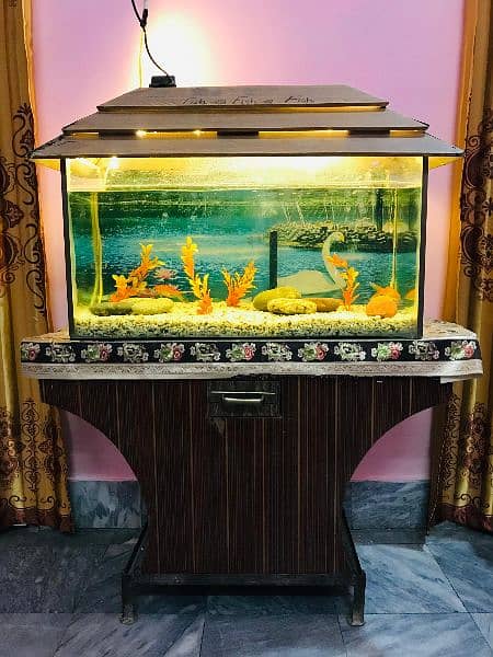 Aquarium for sale with Fish and all accessories 0