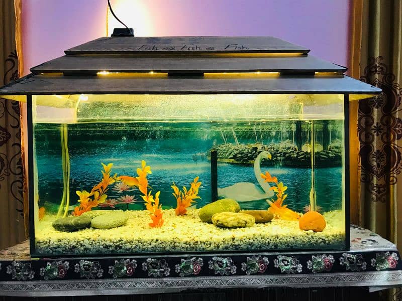 Aquarium for sale with Fish and all accessories 1