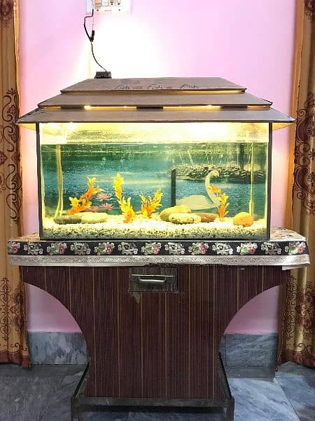 Aquarium for sale with Fish and all accessories 3