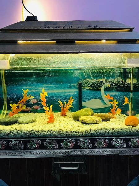 Aquarium for sale with Fish and all accessories 4