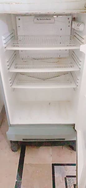 PEL fridge desire model medium size 0