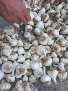 Desi lehson (Garlic)