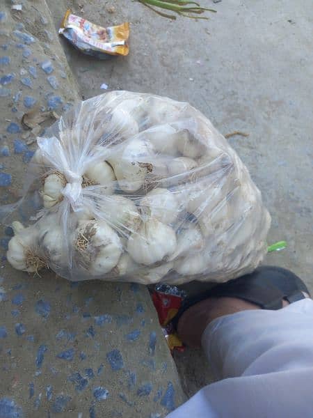 Desi lehson (Garlic) 5