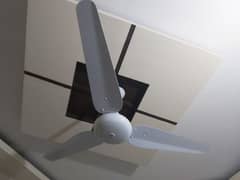 sk ceiling fans for sale