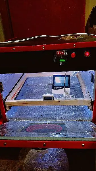 Egg incubator / Eggs incubator / eggs machine / incubator — photo 5
