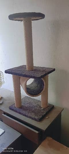 cat tree tower available for sale dust aai hoi Hai wese saaf hai 0
