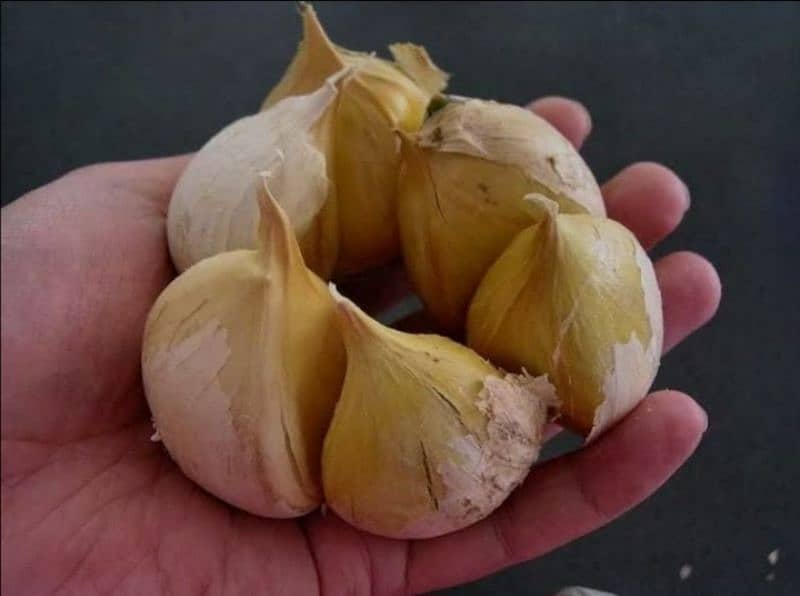 G 1 garlic a fresh seed achi quality ka G1 garlic dastyab hai 1