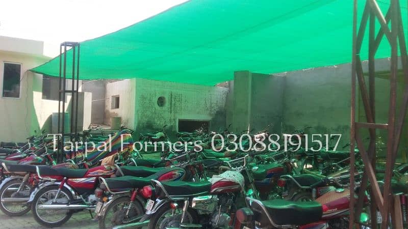 Green Tarpal For Saaya and Parada 2