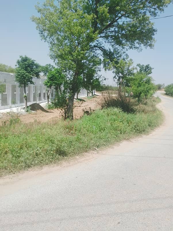 Chicks shed with 12.4 kanal agriculture land for sale in mandra chakwal road chakwal 0