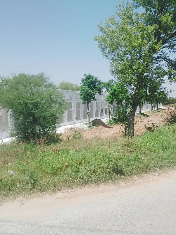 Chicks shed with 12.4 kanal agriculture land for sale in mandra chakwal road chakwal 1
