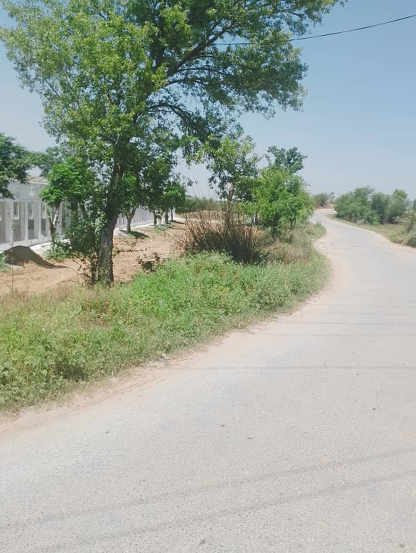 Chicks shed with 12.4 kanal agriculture land for sale in mandra chakwal road chakwal 2