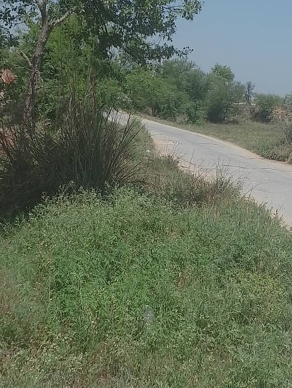 Chicks shed with 12.4 kanal agriculture land for sale in mandra chakwal road chakwal 4