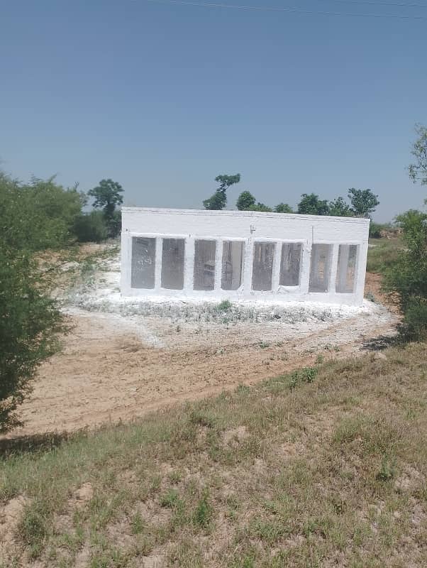 Chicks shed with 12.4 kanal agriculture land for sale in mandra chakwal road chakwal 8