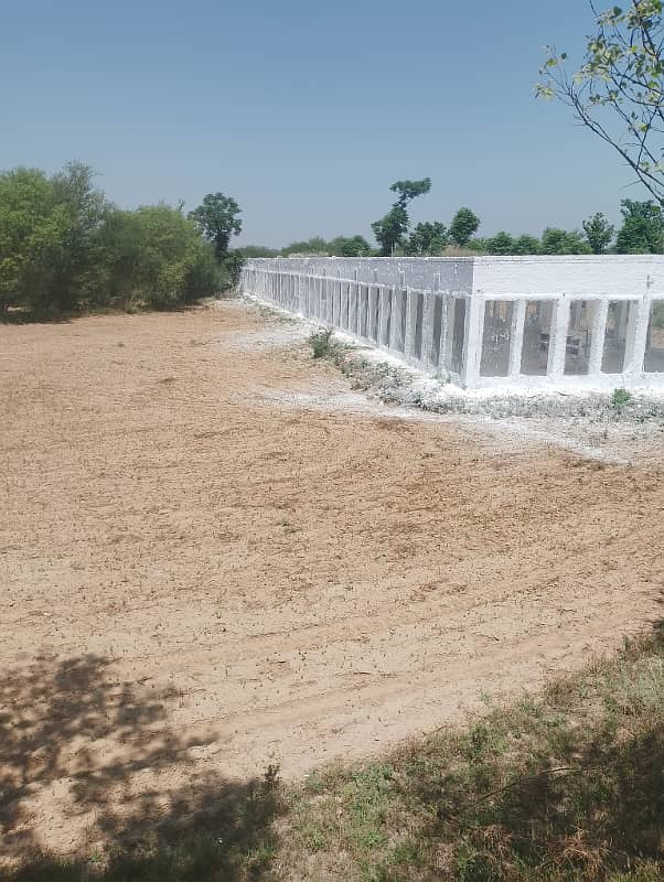 Chicks shed with 12.4 kanal agriculture land for sale in mandra chakwal road chakwal 9