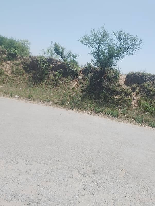 Chicks shed with 12.4 kanal agriculture land for sale in mandra chakwal road chakwal 11