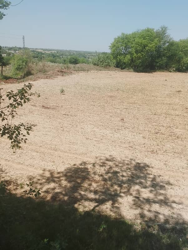 Chicks shed with 12.4 kanal agriculture land for sale in mandra chakwal road chakwal 13