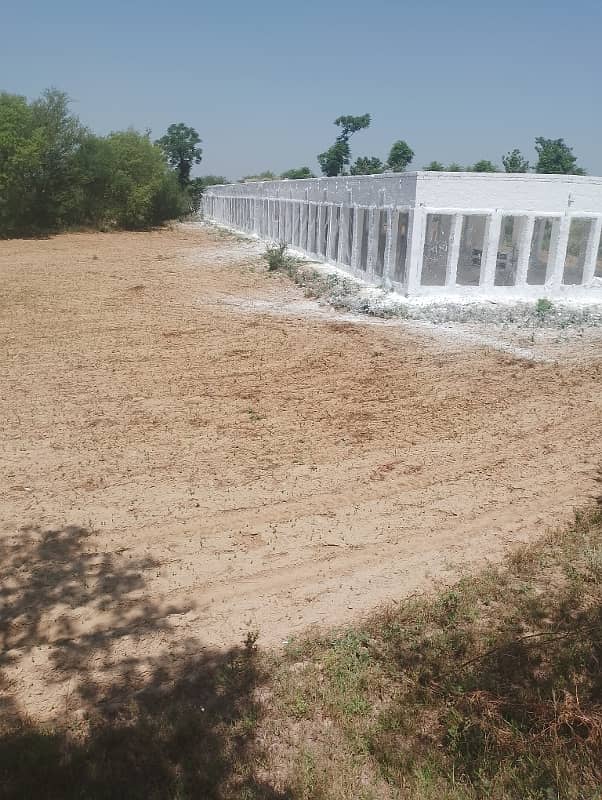 Chicks shed with 12.4 kanal agriculture land for sale in mandra chakwal road chakwal 14